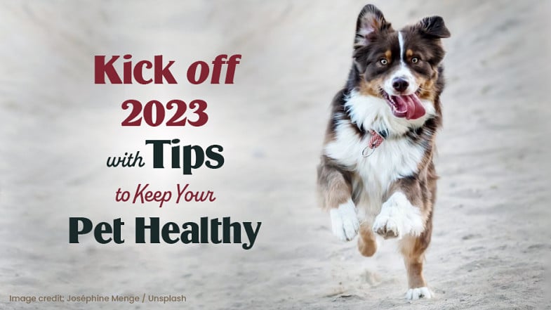 Kick off 2023 with Tips to Keep Your Pet Healthy